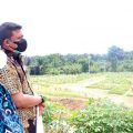 Dalam sepekan terakhir ini, 107 jenazah dikebumikan di Pemakaman Khusus Covid-19 di Simalingkar B, Kecamatan Medan Tuntungan.