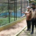 Walikota Medan, Bobby Nasution mengingatkan kepada calon direksi PD Pembangunan nantinya agar bisa mengembangkan potensi yang ada di Kebun binatang guna menarik minat masyarakat untuk berkunjung