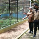 Walikota Medan, Bobby Nasution mengingatkan kepada calon direksi PD Pembangunan nantinya agar bisa mengembangkan potensi yang ada di Kebun binatang guna menarik minat masyarakat untuk berkunjung