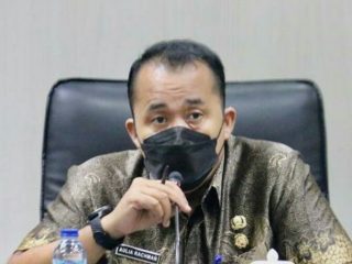 Wakil Walikota Medan, Aulia Rachman