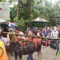 Tim SAR gabungan akhirnya berhasil menemukan jasad mahasiswi Universitas Islam Negeri (UIN) Sumatera Utara (Sumut) asal Asahan, Khairunnisa Alhady Hasibuan yang terseret arus Sungai Sei Berte Langkat, Minggu (12/9/2021).
