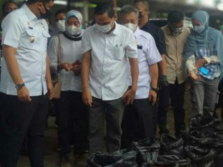 Guna menghilangkan predikat kota terjorok se Indonesia yang ditetapkan Kementrian Lingkungan Hidup dan Kehutanan pada 2019 lalu, Pemko Medan mulai olah sampah menjadi pupuk kompos.