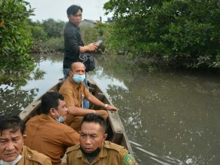 Ribuan Ikan dan habitat hewan air lainya mati secara mendadak dialiran hilir Sungai Sei Sirah, Kecamatan Besitang Kabupaten Langkat.