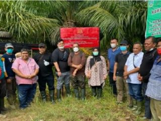 Dokumentasi penyitaan lahan PT PSU di Mandailing Natal oleh Tim Pidsus Kejatisu beberapa waktu lalu.