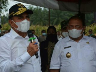 Gubsu Edy Rahmayadi bersama Bupati Langkat, Terbit Rencana PA saat menyaksikan panen jagung di Desa Namu Ukur Utara, Kabupaten Langkat