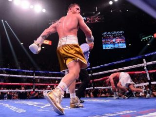 Canelo Alvarez menjadi juara sejati atau tak terbantahkan di kelas menengah super. Ia mengalahkan Caleb Plant, asal Amerika, dengan TKO pada ronde ke-11 dalam duel di Nevada. Ahad, 7 November 2021.