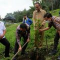 Zainuddin Iqbal Sidabutar selaku Vice President CSR & PKBL PLTA INALUM bersama A Iqbal Harahap selaku Vice President Public Relations PLTA INALUM melakukan penanaman tanaman manga harum manis didampingi Ramadhani Purba selaku Asisten 2 Pemerintah Kabupaten Simalungun dan Marwandi Y. Simaibang Camat Girsang Sipangan Bolon.