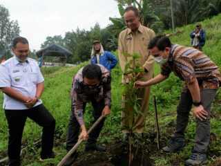 Zainuddin Iqbal Sidabutar selaku Vice President CSR & PKBL PLTA INALUM bersama A Iqbal Harahap selaku Vice President Public Relations PLTA INALUM melakukan penanaman tanaman manga harum manis didampingi Ramadhani Purba selaku Asisten 2 Pemerintah Kabupaten Simalungun dan Marwandi Y. Simaibang Camat Girsang Sipangan Bolon.