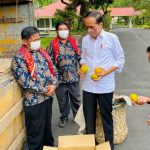 Presiden Joko Widodo (Jokowi) hari ini menerima enam perwakilan warga Liang Melas Datas, Kabupaten Karo , Provinsi Sumatera Utara di Istana Merdeka. Mereka membawa satu truk berisi buah jeruk seberat tiga ton untuk Presiden Jokowi.