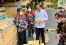 Presiden Joko Widodo (Jokowi) hari ini menerima enam perwakilan warga Liang Melas Datas, Kabupaten Karo , Provinsi Sumatera Utara di Istana Merdeka. Mereka membawa satu truk berisi buah jeruk seberat tiga ton untuk Presiden Jokowi.