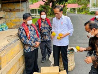 Presiden Joko Widodo (Jokowi) hari ini menerima enam perwakilan warga Liang Melas Datas, Kabupaten Karo , Provinsi Sumatera Utara di Istana Merdeka. Mereka membawa satu truk berisi buah jeruk seberat tiga ton untuk Presiden Jokowi.