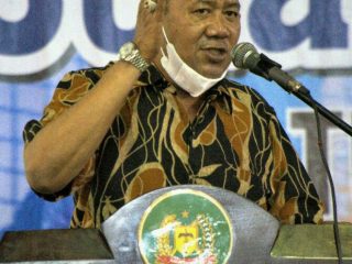 Wakil Bupati Langkat, Syah Afandin