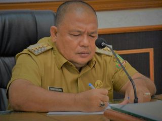 Bupati Langkat, Terbit Rencana PA