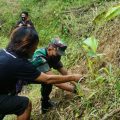 Komunitas Kampung Sendiri bersama berbagai elemen seperti Kodim 0203/Lkt, Balai Besar Taman Nasional Gunung Leuser, River Schooll, Pesona Langkat, Orangutan Informasi Center, Pamah View dan Desa Telagah, melakukan penanaman pohon di buffer zone TNGL pada 10 Januari - 11 Januari 2022.