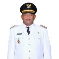 Wakil Bupati Langkat, Syah Afandin