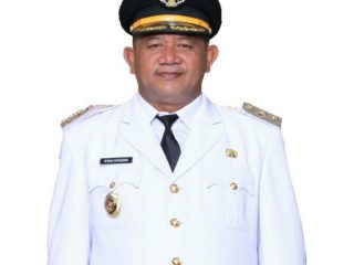 Wakil Bupati Langkat, Syah Afandin