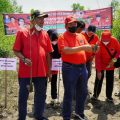 Dewan Pimpinan Cabang (DPC) Partai Demokrasi Indonesia Perjuangan (PDIP) Kabupaten Langkat melaksanakan penanaman dan pelestarian hutan mangrove, di Desa Lubuk Kertang Kecamatan Brandan Barat, Langkat, Minggu (23/1/2022).