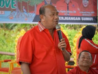 Wakil Bupati Langkat, Syah Afandin