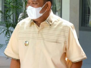 Plt Bupati Langkat, Syah Afandin