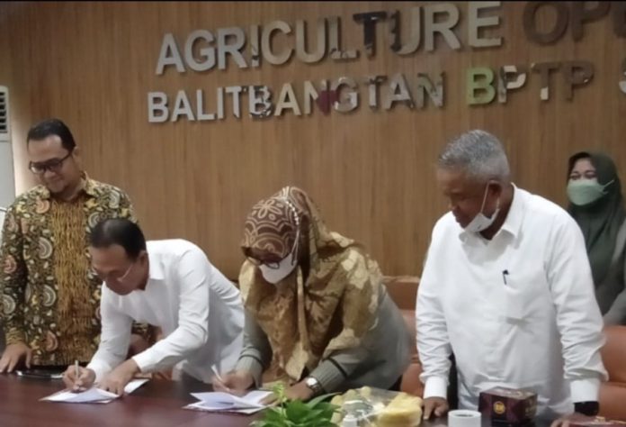 HKTI Sumatera Utara menjalin kerjasama dengan Balai Pengkajian Teknologi Pertanian Sumut untuk menaikkan produksi padi di Sumut.