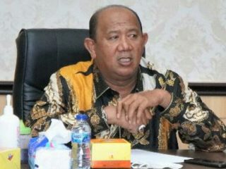 Plt Bupati Langkat, Syah Afandin