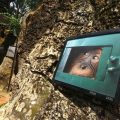 PFI Medan menggelar pameran foto di tebing batu alam Rock Island, Bukit Lawang Langkat, 19-20 Februari 2022 dengan mengangkat tema "harmony with nature".