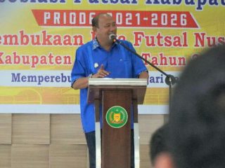 Plt Bupati Langkat, Syah Afandin