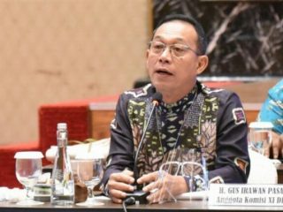 Anggota DPR RI Gus Irawan Pasaribu