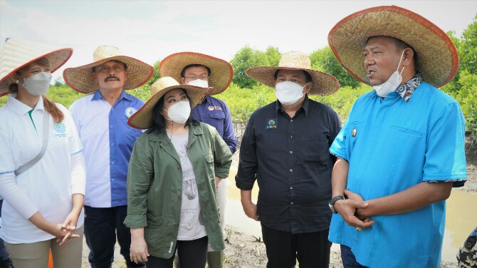 Plt Bupati Langkat, Syah Afandin di sela-sela kegiatan penanaman 10.000 bibit mangrove, Kamis (10/3/2022)
