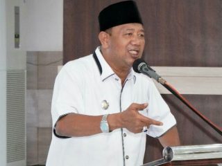Plt Bupati Langkat, Syah Afandin