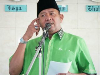 Plt Bupati Langkat, Syah Afandin