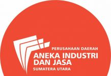 Gubernur Sumatera Utara (Gubsu) Edy Rahmayadi mencopot Direktur Utama Perusahaan Daerah Aneka Industri dan Jasa (PD AIJ) Sumut, Renny Maysarah.