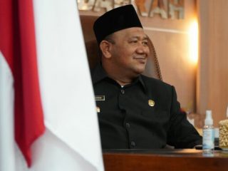 Plt Bupati Langkat, Syah Afandin