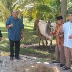 Plt Bupati Langkat, Syah Afandim saat menyerahkan sapi kurban kepada BKM Masjid Raya Stabat, Sabtu (9/7/2022)