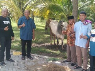 Plt Bupati Langkat, Syah Afandim saat menyerahkan sapi kurban kepada BKM Masjid Raya Stabat, Sabtu (9/7/2022)