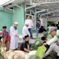 Ketua PD Al Washliyah Kota Medan menyaksikan pemotongan hewan qurban di mushalah Al Huda Jl. Cendrawsih Medan (10/7).