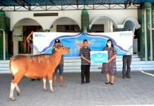 PT Pelindo Multi Terminal (SPMT), sebagai Subholding PT Pelabuhan Indonesia (Persero), pada tahun ini melaksanakan penyaluran hewan qurban pada masyarakat di berbagai wilayah kerjanya, yang tersebar dari Belawan hingga Makassar.