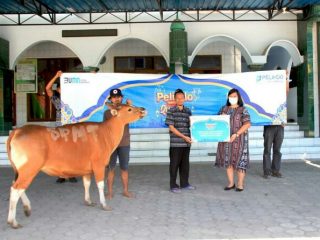 PT Pelindo Multi Terminal (SPMT), sebagai Subholding PT Pelabuhan Indonesia (Persero), pada tahun ini melaksanakan penyaluran hewan qurban pada masyarakat di berbagai wilayah kerjanya, yang tersebar dari Belawan hingga Makassar.