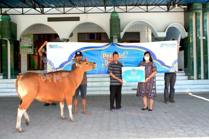 Xnxx Cow 1 - Idul Adha, SPMT Group Salurkan Kurban ke Wilayah Kerja dari Belawan hingga  Makassar
