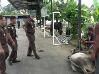 Kajati Sumut Idianto melihat langsung proses penyembelihan hewan kurban di kompleks Kejati Sumut.