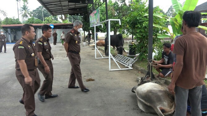 Kajati Sumut Idianto melihat langsung proses penyembelihan hewan kurban di kompleks Kejati Sumut.