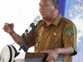 Plt Langkat, Syah Afandin