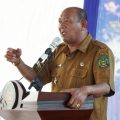 Plt Bupati Langkat, Syah Afandin