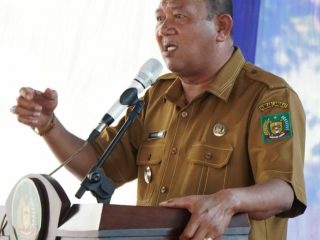 Plt Bupati Langkat, Syah Afandin