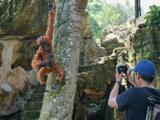 Kawasan Bukit Lawang yang berada di Kec. Bahorok, kab. Langkat, Sumatera Utara, merupakan kawasan yang masuk Taman Nasional Gunung Leuser (TNGL) menyimpan banyak pesona alam mulai flora dan fauna serta aktivitas wisatawan yang dilakukan oleh wisatawan baik dari dalam maupun luar negeri.
