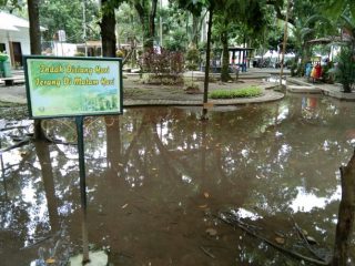 Taman Ahmad Yani