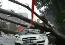 Kejadian pohon tumbang akibat hujan deras disertai angin kencang kembali terjadi di sekitar RSU Adam Malik, Kecamatan Medan Tuntungan, Senin (26/9/2022).
