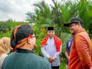 Walikota Medan, Bobby Nasution meninjau jembatan sekaligus jalan yang amblas di Kampung Sentosa Barat, Lingkungan XX, Kelurahan Belawan Sicanang, Medan Belawan, Jum’at (7/10/2022).