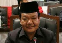 Anggota Komisi IV DPRD Medan, Daniel Pinem