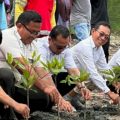 Partai Gerakan Indonesia Raya (Gerindra) Sumatera Utara melakukan aksi penanaman Mangrove bersama para nelayan di Desa Bagan Serdang, Kecamatan Pantai Labu, Kabupaten Deli Serdang, Jumat (6/1/2023).